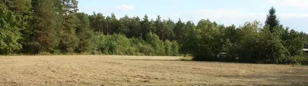 Działka na sprzedaż 8100m2