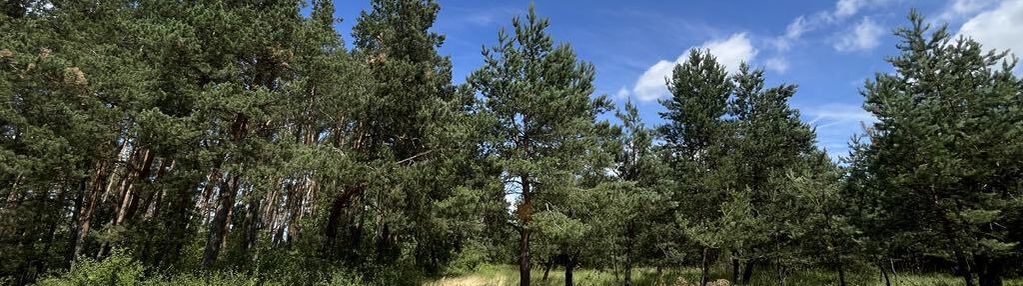 Malownicze działki z terenami zielonymi