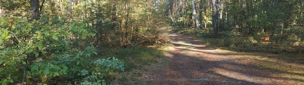 Rezydencjalna działka w otwocku-soplicowo