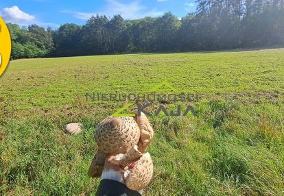 Działka przy lesie, z oczkiem wodnym -gm. świdnica