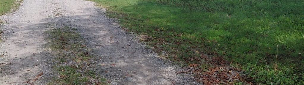 Idealnie płaska działka z mediami