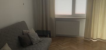 Do wynajęcia 2-pokojowe mieszkanie (42m2) na Powiś