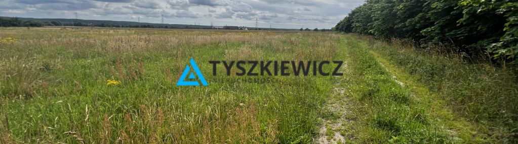 3 niezależne działki  • zamostne, gmina wejher
