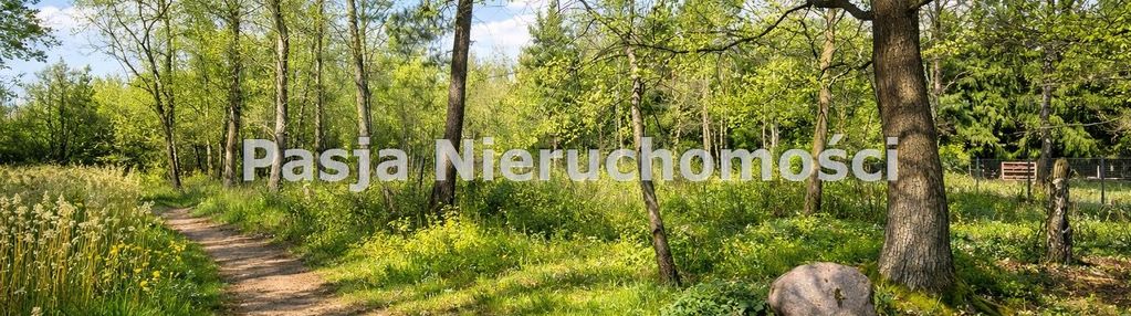 Dziaki w białobrzegach w atrakcyjnej cenie