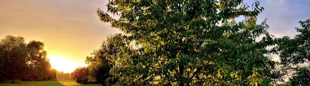 Działka z małym domkiem|pod budowę|z mediami