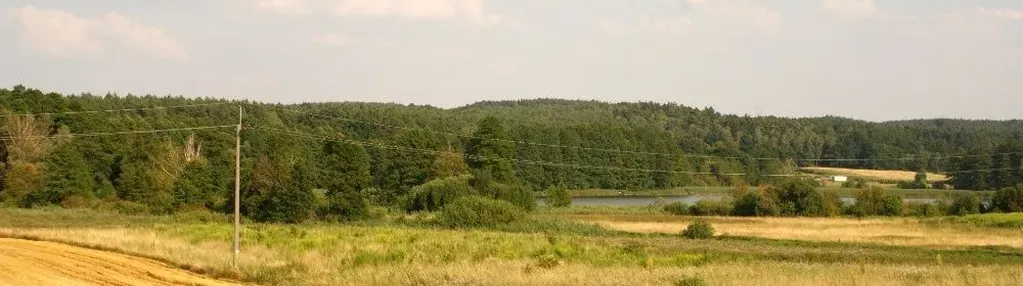 Działka na sprzedaż 1000m2