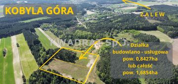 Piękna, duża działka z lasem – kobyla góra!!!