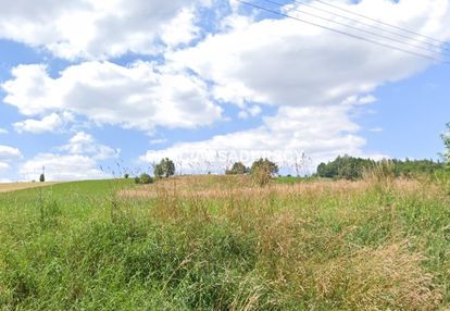 Działka budowalana w młodziejowicach