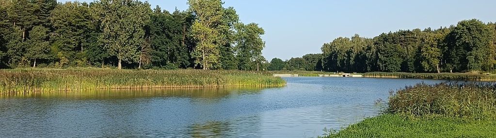 Piękna działka pod lasem, 15 km od mszczonowa