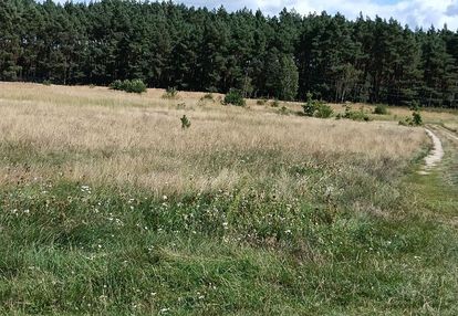 Ostatnie działki z warunkami zabudowy gm krzeszyce