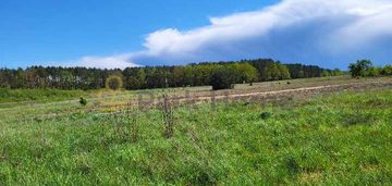 Teren o powierzchni 1,51ha trzciel/jasieniec.