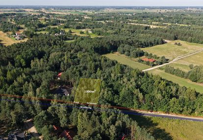 Dom w sercu natury? to możliwe!