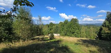 Działka w trzcińsku przy sokolikach