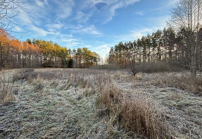 Duża działka w otoczeniu jezior i lasów