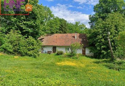 Działka 44ar z drewnianym domem czarny potok