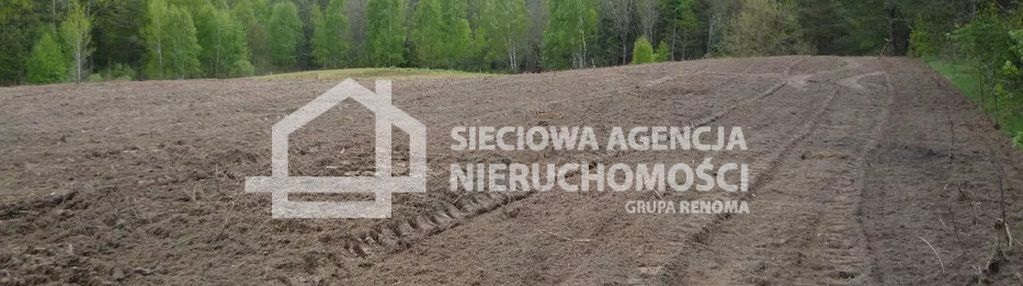 Działka rolna 5601 m2,  kobylasz / linia