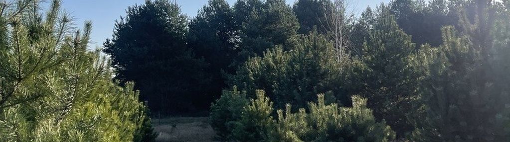 Działka o pow.6883 m² w zielonej okolicy.