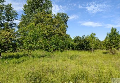 Na sprzedaż: działka z potencjałem inwestycyjnym