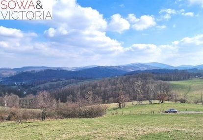 Panorama góry sowie