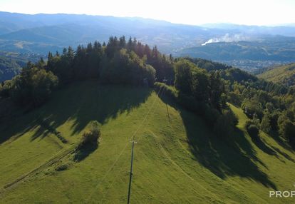 Barcice górne - 4,49 ha działek rolnych i leśnych