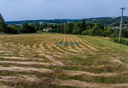 Działka widokowa koło lasu