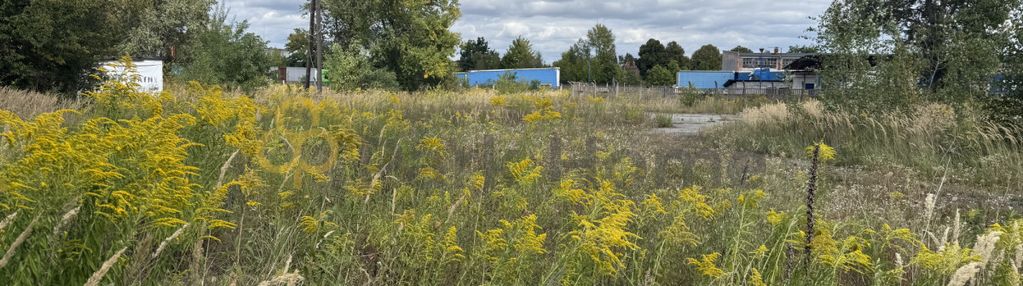 Na sprzedaż działka 48 arów – ul. spółdzielcza