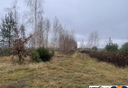 Działka 6443 m² z mediami przy asfaltowej drodze.