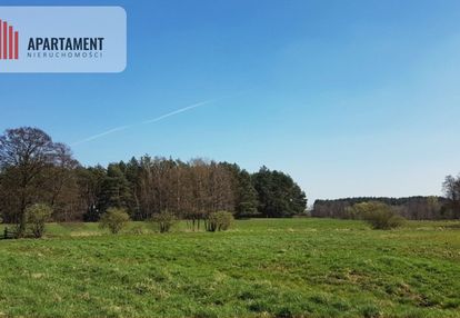 Idealna działka dla ceniących spokój