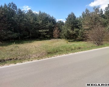 Duża działka koło olsztyna na jurze