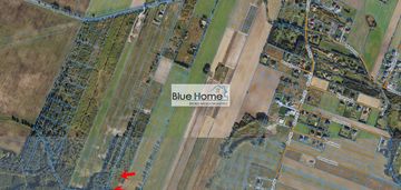 Interesująca oferta gruntu z linią lasu