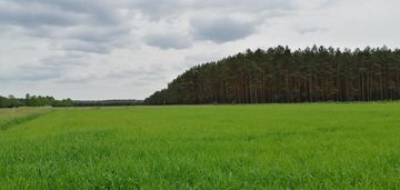 Działka budowlana przy lesie z wygodnym dojazdem.
