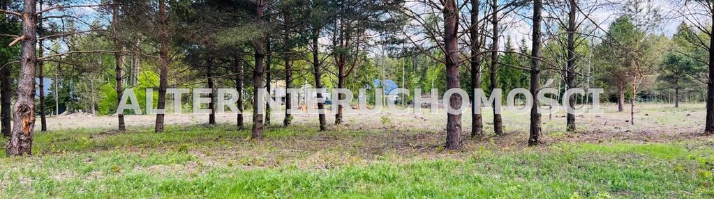 Malownicza działka budowana w niewodnicy kościenej