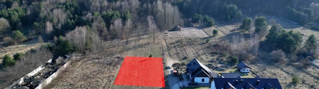 Działka, pow. 1000 m2, zalesie