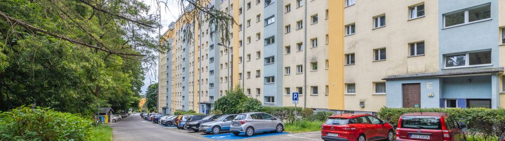 Kawalerka z wydzieloną sypialnią!