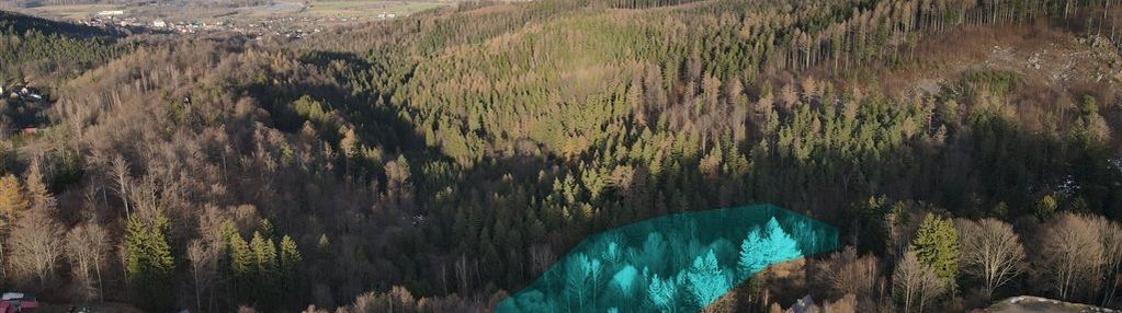 Działka w przesiece obok japońskiego ogrodu siruwa