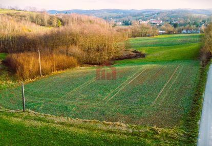 83ar wolności wz w trakcie las dojazd asfaltem