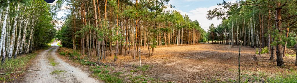 Działki przy lesie | wz | zieleń | cisza | klimat