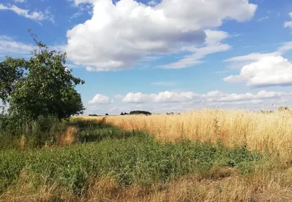 Działka na sprzedaż 3000m2