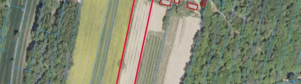 Duża działka zagrodowa niedaleko piask