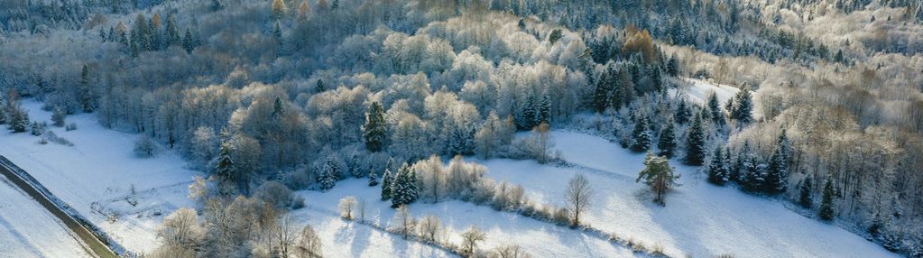 7 działek na sprzedaż |30 arów| |40 arów|