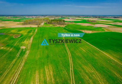 Duży areał ziem kaszubskiej, budziska 28 ha