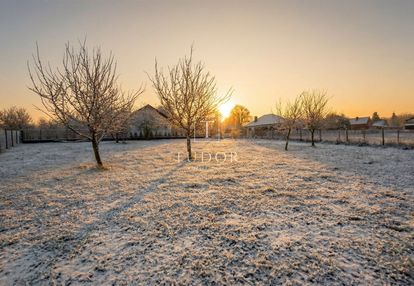 Działka budowlana przy puszczy bukowej