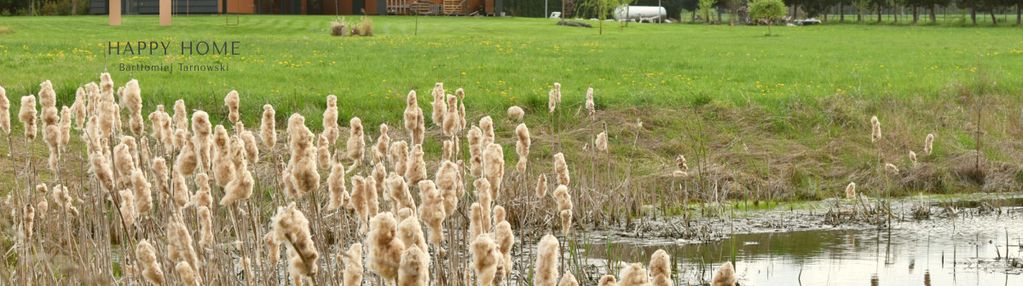 Sprzedam dom 232 m2 na działce 1,9 ha koło serocka