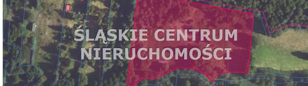 Duża działka siedliskowa z lasem sieraków jura