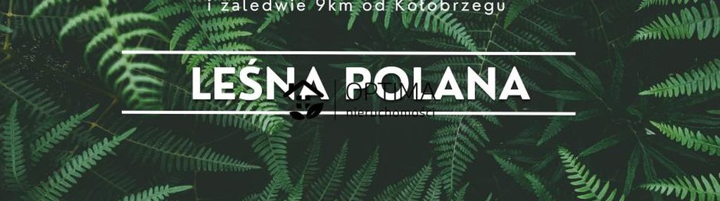 Działka z widokiem na las, obok vilpark