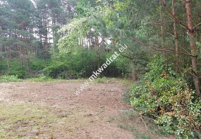 Okolice grodziska maz 1600m2 od mkwadrat.eu