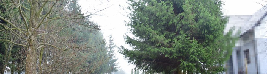 Działka budowlana 23a w bratkowicach