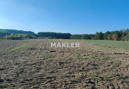 Działka w myślęcinku 2,6 ha z lasem.