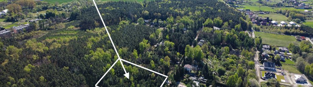 Najpiękniejsza w żabiczkach