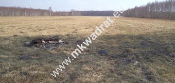 Duża działka rolna w miejscowości hipolitów